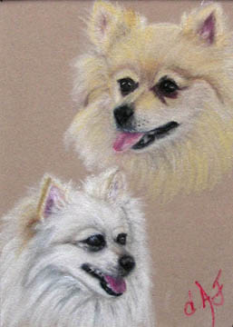 Fine Art Pet Portrait by Artist Donna Aldrich-Fontaine - Two Pomeranians.jpg